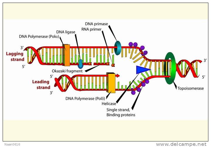 [NZ08-094  ]    Chemistry Gene DNA Biochemistry, Postal Stationery --Articles Postaux -- Postsache F - Chimie