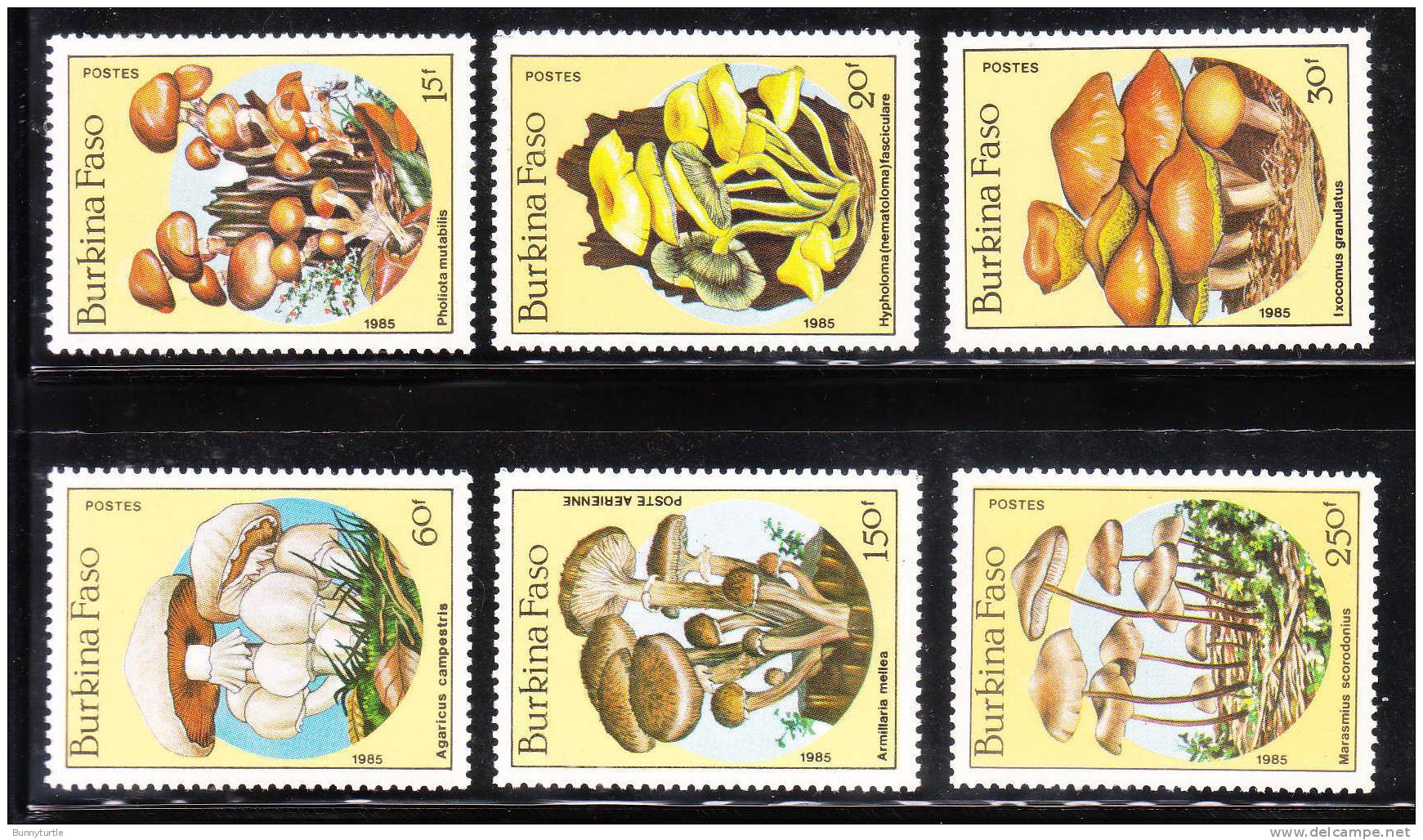 Burkina Faso 1985 Fungi Mushrooms MNH - Burkina Faso (1984-...)