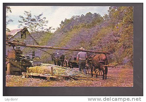 Sorghum Mill - Down In The Ozarks - Otros & Sin Clasificación