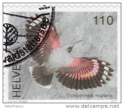 2007 Svizzera - Tichodroma Muraria - Owls