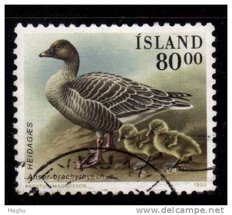 Iceland Used 1990, 80k Bird, Goose., - Gebraucht