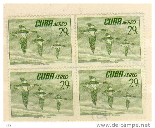 Cuba  (140) - Patos