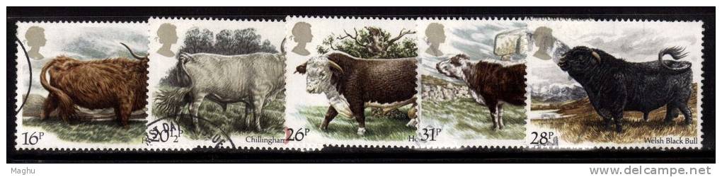 Great Britain Used 1984 Set Of 5, British Cattle, Farm Animals, Cow - Vaches