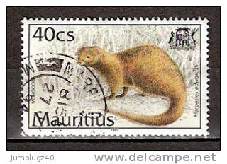 Timbre Maurice 1994 Y&T N°809 (3). Oblitéré. Mangouste. 40Cs. Cote 0.50 € - Mauritius (1968-...)