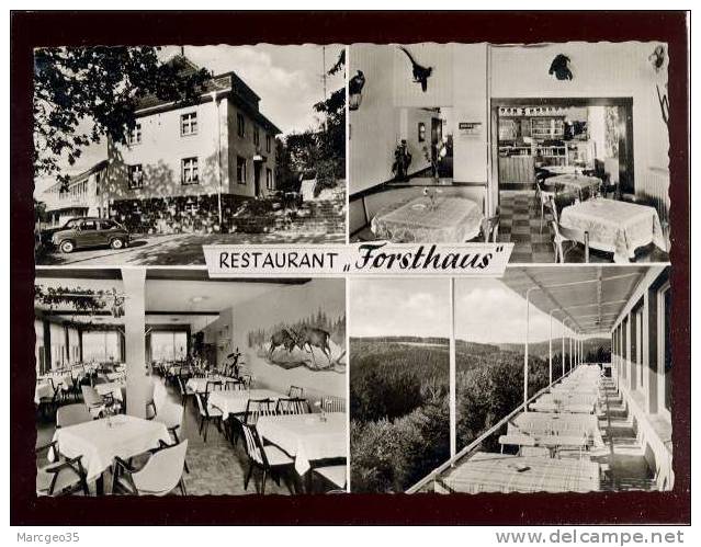 Werdohl Lüdenscheid Restaurant Forsthaus Propriétaire Hans Krewinkel édit.KG N° Wer 0105 62/1 Automobile Fiat 500 Ou 600 - Werdohl