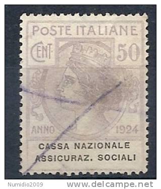 1924 REGNO USATO PARASTATALI 50 CENT - RR9681 - Postage Due