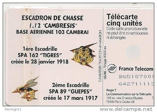 CARTE-PRIVEE-5U-05/95-GN2     35-GEM-ESCADRON  DE CHASSE CAMBRESIS-UTILISEE-TBE    -LUXE - 5 Einheiten