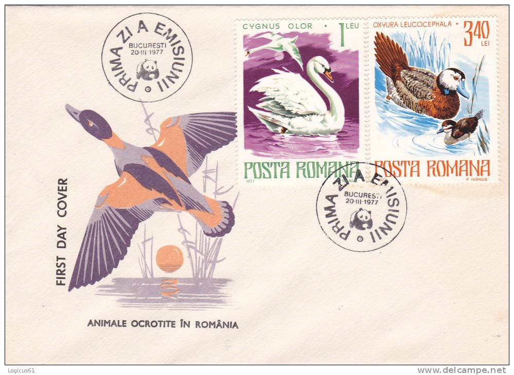 PROCTED BIRDS IN ROMANIA:Cygnus Olor, Oxyura Leucocephala. FDC COVER,PREMIER JOUR 1977,Bucharest - Zwanen