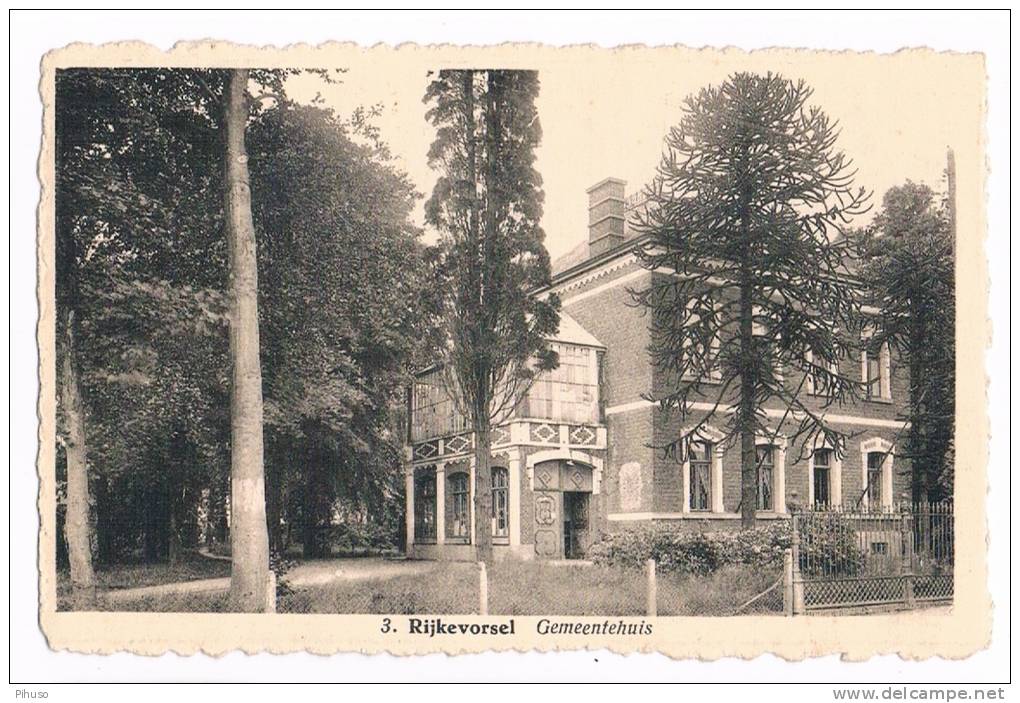 B3744    RIJKEVORSEL : Gemeentehuis - Rijkevorsel