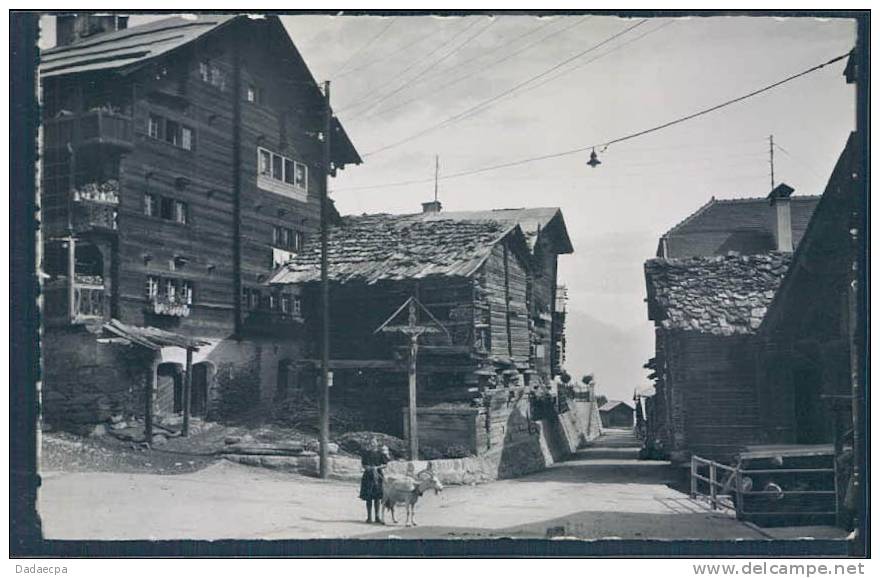 Valais, Héremence Pittoresque Village,Chèvre, Animée, - Hérémence