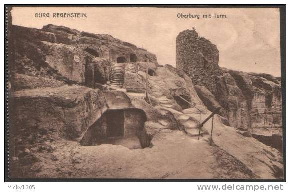 Burg Regenstein Bei Blankenburg / Harz - Karte Unbeschriftet / Card Mint (p881) - Blankenburg