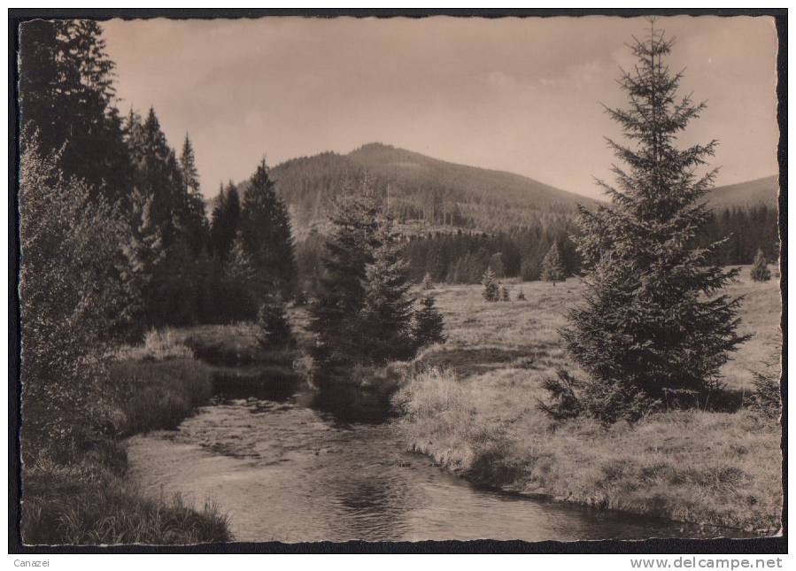 AK Schierke/Harz, Bode, Blick Zum Königsberg, Ungelaufen, 1960 - Schierke