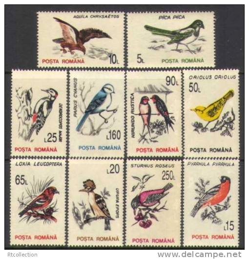 Romania 1993 - A Set Of 10 Colorful Birds Eagle Woodpecker Bird Animal Animals Fauna Nature Stamps MNH Michel 4875-4884 - Collections