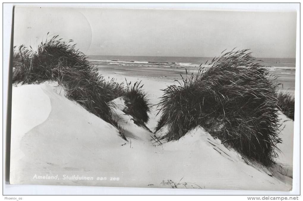 NETHERLANDS - AMELAND, Stuifduinen Aan Zee, 1964. - Ameland