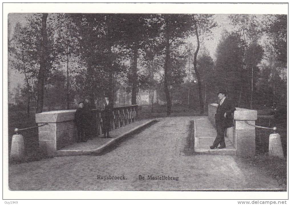 RUISBROEK  MASTELBRUG PONT DE MASTEL(repro) - Sint-Pieters-Leeuw