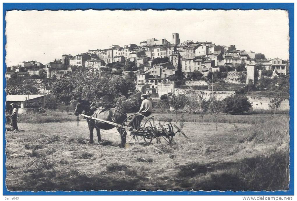 CPSM PF - ALPES MARITIMES - BIOT - BELLE VUE GENERALE ANIMEE - LE RAMASSAGE DES FOINS, ATTELAGE AGRICOLE -  MAR /10610 - Biot