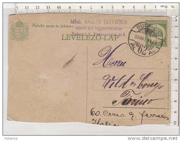 PO2073B# Cartolina Postale  VG Budapest 1928 - Poststempel (Marcophilie)