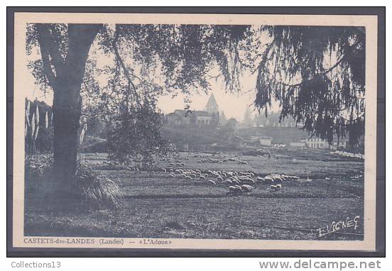 LANDES - Castets Des Landes - L'Adoue - Castets