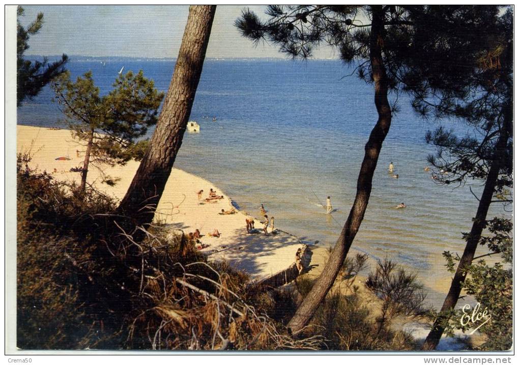 40 - BISCAROSSE - Plage Des Hautes Rives - Biscarrosse