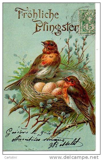 Pfingster Pinksteren Pentecote Vogels Oiseaux Birds Vogeln Nid Nest  Fantasie Fantaisie Fantasy Fantasia - Pentecostés