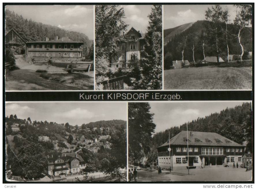 AK Kipsdorf/Erzgebirge, 1977 - Kipsdorf