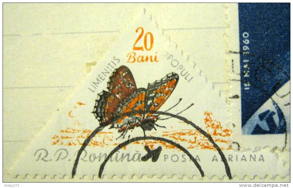 Romania 1960 Butterflies Limenitis Populi 20b - Used - Neufs