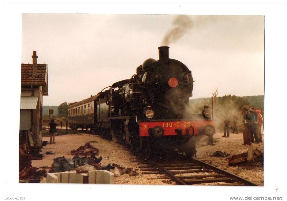 LONGUEVILLE SEINE ET MARNE PHOTO MODERNE : " Manifestation Gare Train Locomotive à Vapeur " - Spoorweg