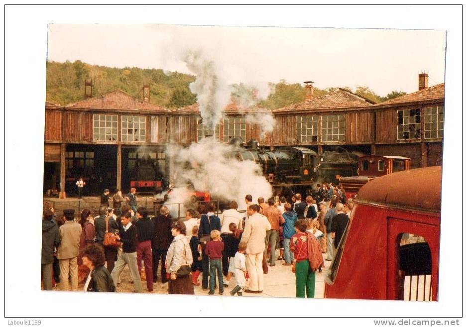 LONGUEVILLE SEINE ET MARNE PHOTO MODERNE : " Manifestation Gare Train Locomotive à Vapeur " - Spoorweg