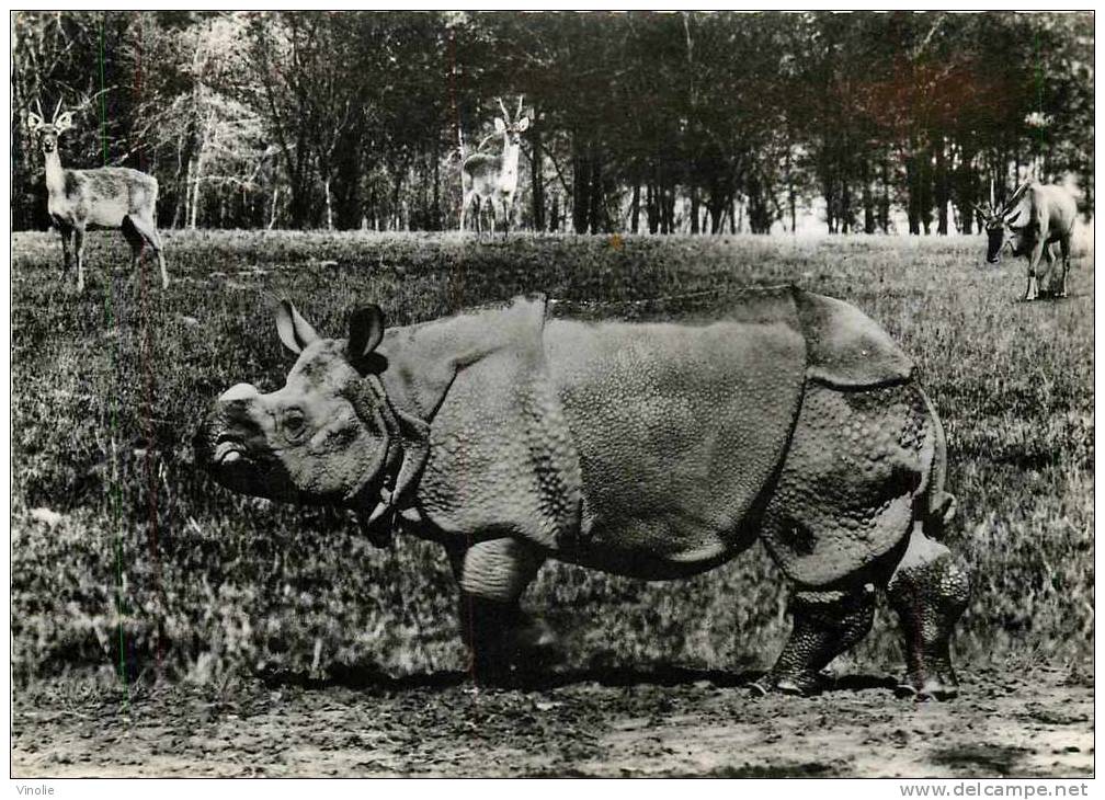 Thème : Réf : B-12-3433 : Rhinocéros - Rhinoceros