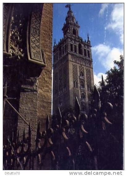 Cadiz - Perspectiva Che De La Giralda Desde La Puerta Del Perdon - Viaggiata Mancante Di Affrancatura  Formato Grande - Cádiz