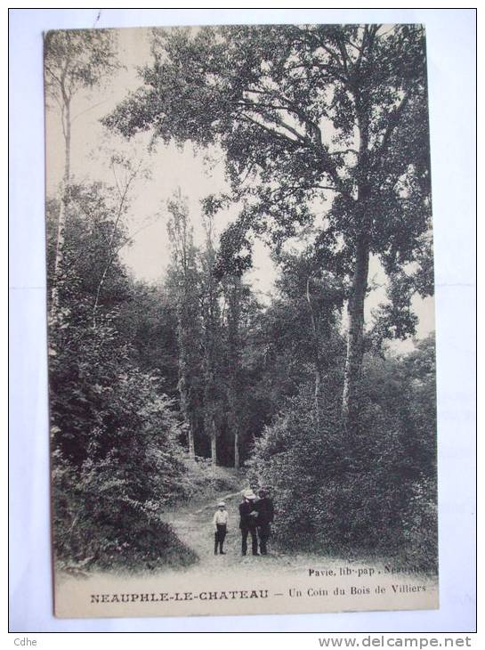 78  - BB - NEAUPHLE-LE-CHATEAU - UN COIN DU BOIS DE VILLIERS - Neauphle Le Chateau