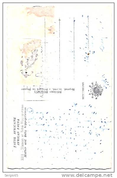 AFRICA FAUNA-HIPPOPOTAMUS WITH BABY- Traveled - Flusspferde