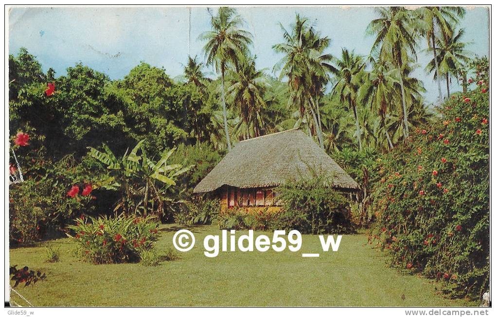 Tahiti - Un Bungalow Tahitien Entouré De Verdure Et De Fleurs Toute L'année - N° C20023 - Tahiti