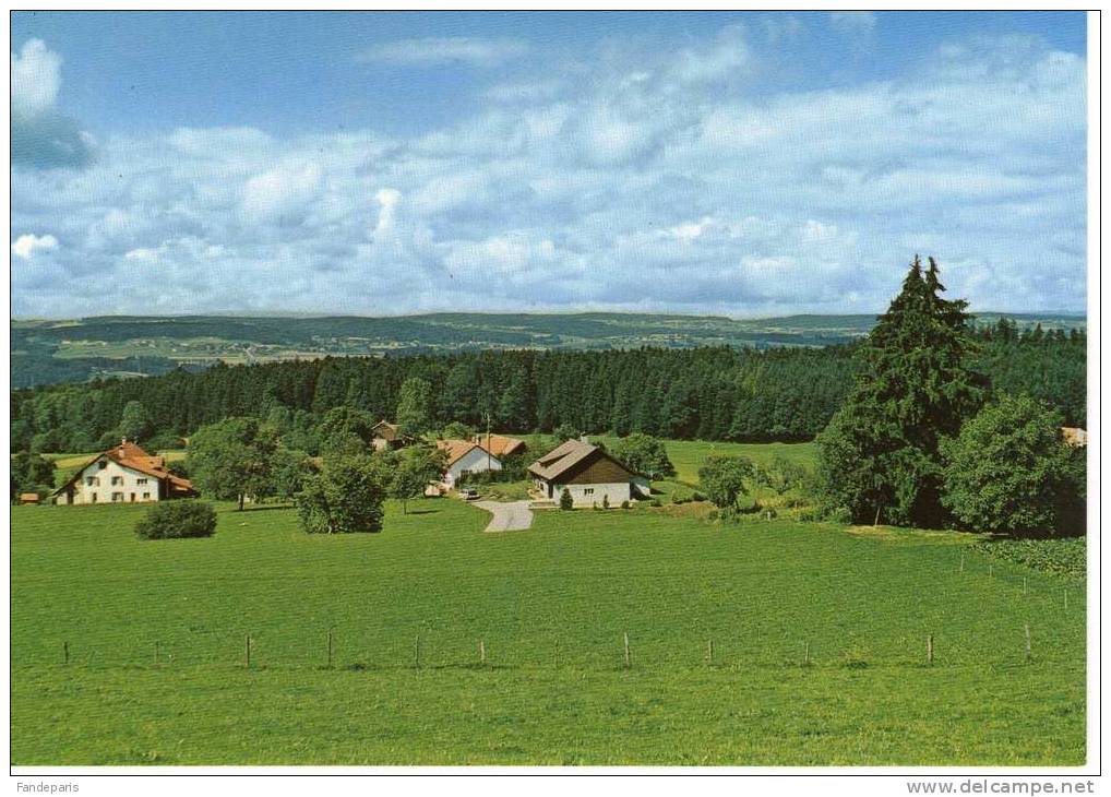 SUISSE *** CANTON DE VAUD *** CHAUMIAU ** ENTRE ECOTEAUX ET BUSSIGNY S/ORON - Oron