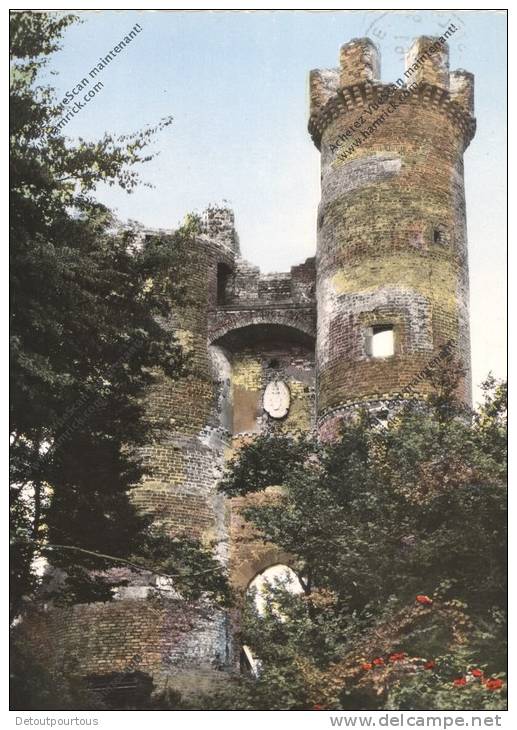 BRESSIEUX Isère 38 : Ruines Du Chateau Féodal - Bressieux