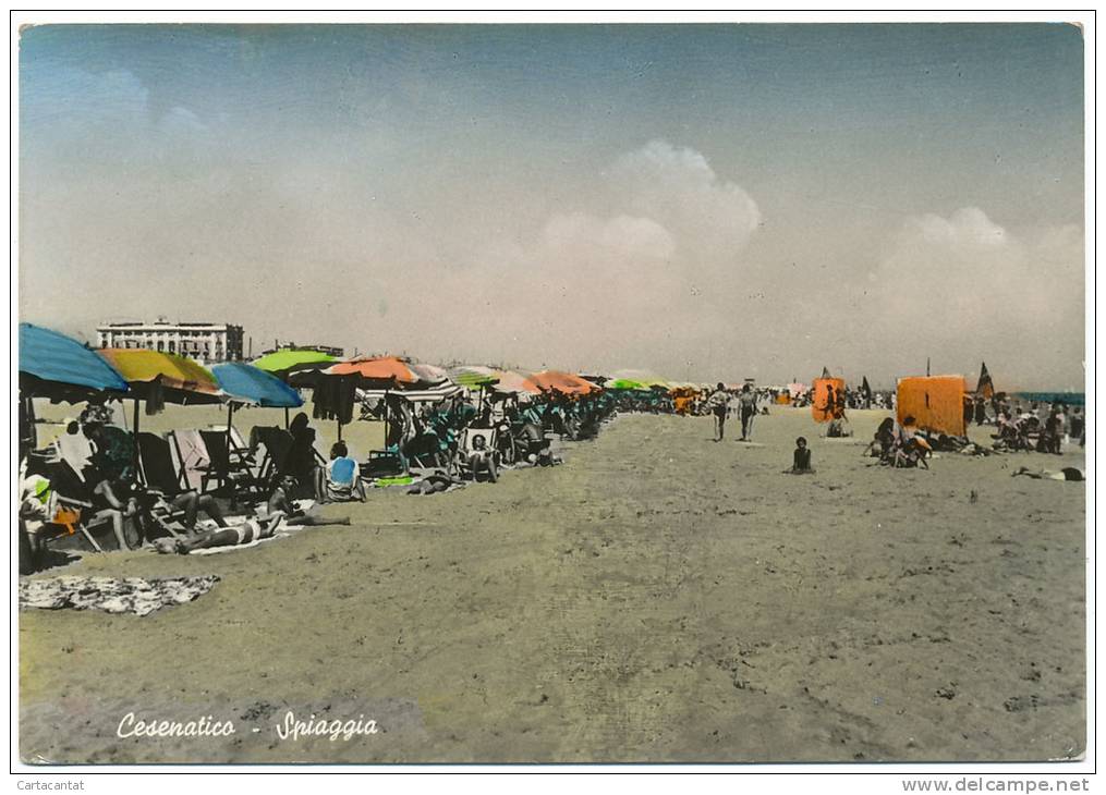 CESENATICO. LA SPIAGGIA GREMITA DI BAGNANTI. CARTOLINA DEL 1955 - Cesena