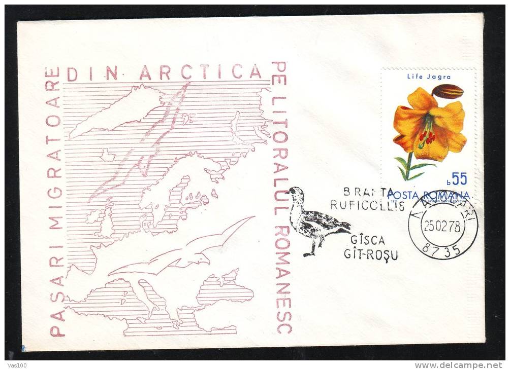 MIGRATORY BIRDS FROM ARCTICA, CYGNE, 1978, SPECIAL COVER, OBLITERATION CONCORDANTE, ROMANIA - Zwanen