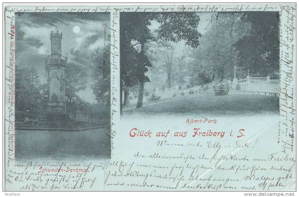 Glück Auf Aus Freiberg In Sachsen Schweden Denkmal Albert Park Mondschein 30.11.1897 Gelaufen - Freiberg (Sachsen)