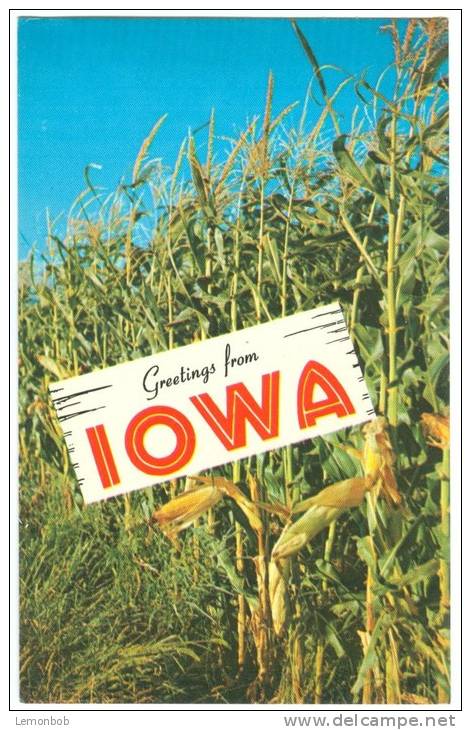 USA, Iowa, The Tall Corn State, Unused Postcard [P8291] - Sonstige & Ohne Zuordnung