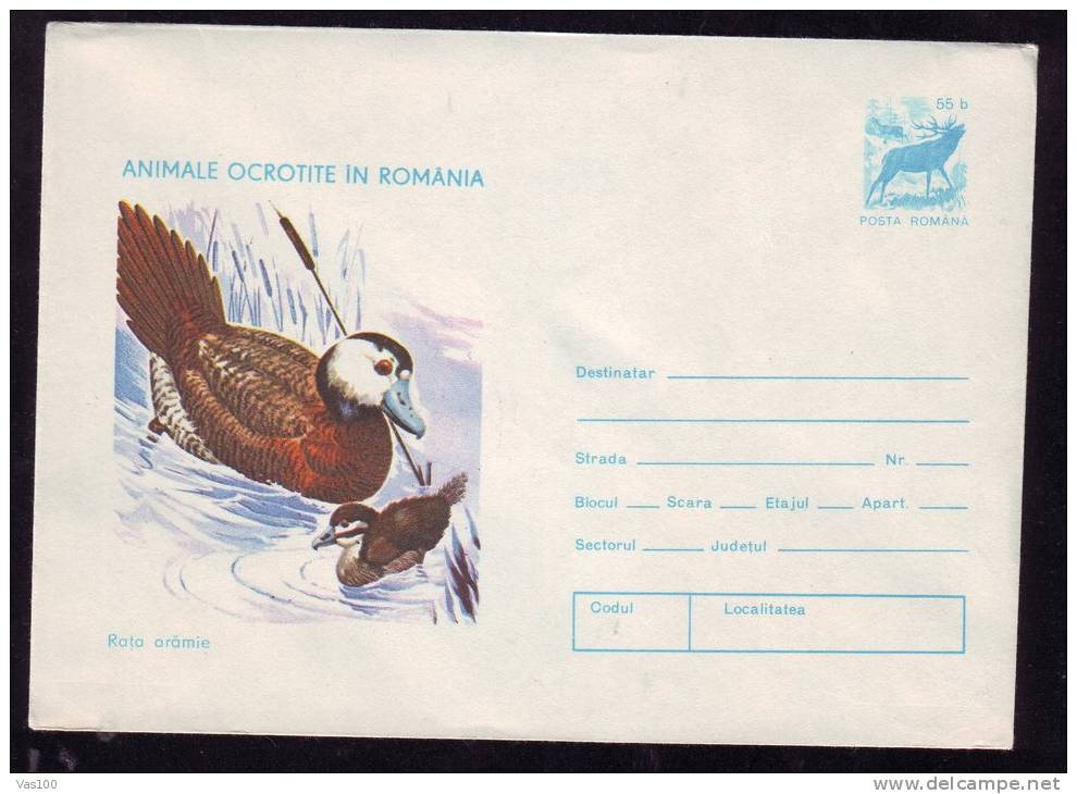 DUCK, 1977, COVER STATIONERY, ENTIER POSTAL, UNUSED, ROMANIA - Zwanen