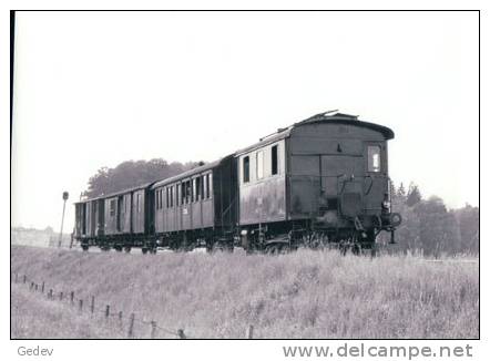 Chemin De Fer, Train à Sursee Photo 1960 BVA  227.5 ST - Sursee