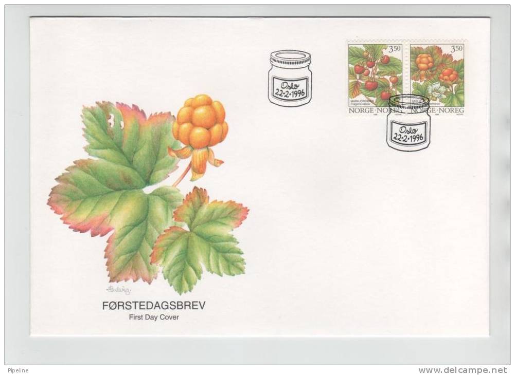 Norway FDC 22-2-1996 Wild Berries In Pair From Booklet With Nice Cachet - FDC