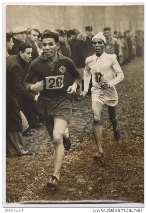 P 638 - PHOTO - CROSS Des Champions Remporté Par Hamza - Auteuil - 1951 - Voir Description - - Atletica