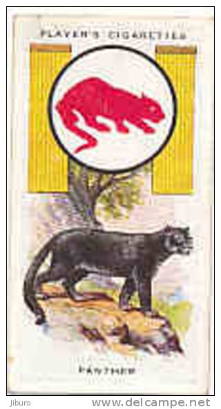 Owl / Boyscout & Girl Guide - Patrol Signs & Emblems / Panther /  Panthère  / Animaux Animal  / IM 39 Players - Player's