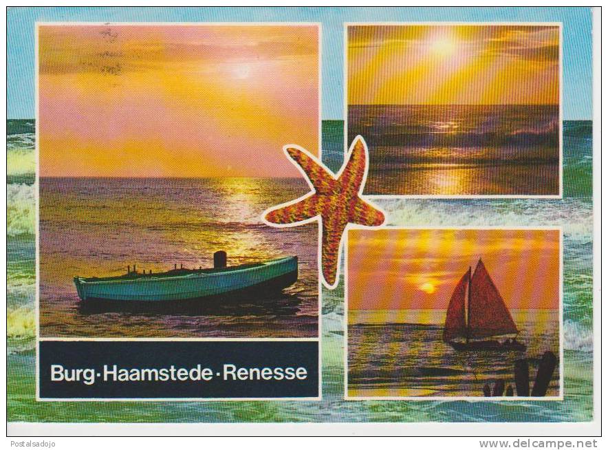 (NE325) RENESSE - Renesse