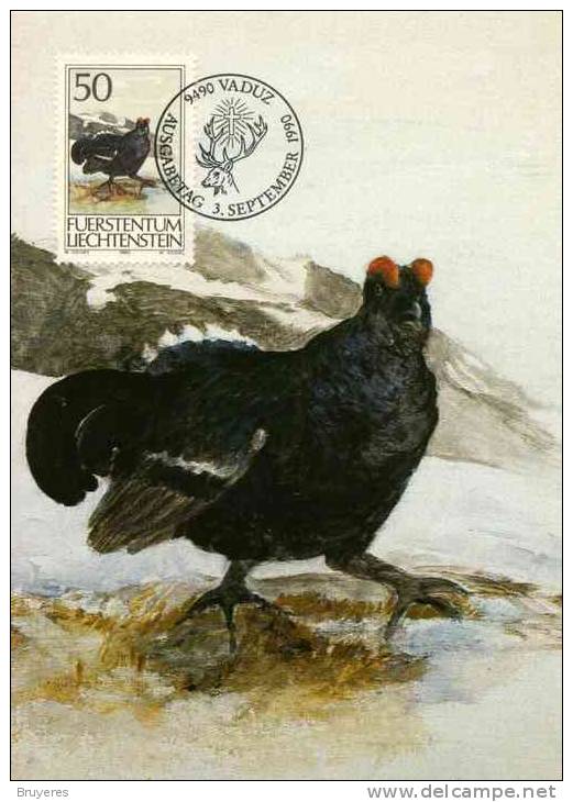 Carte Postale Du Liechtenstein Avec Timbre Et Illust. "Coq De Bouleau" Et Obli. Vaduz 03/09/1990 - Hoendervogels & Fazanten