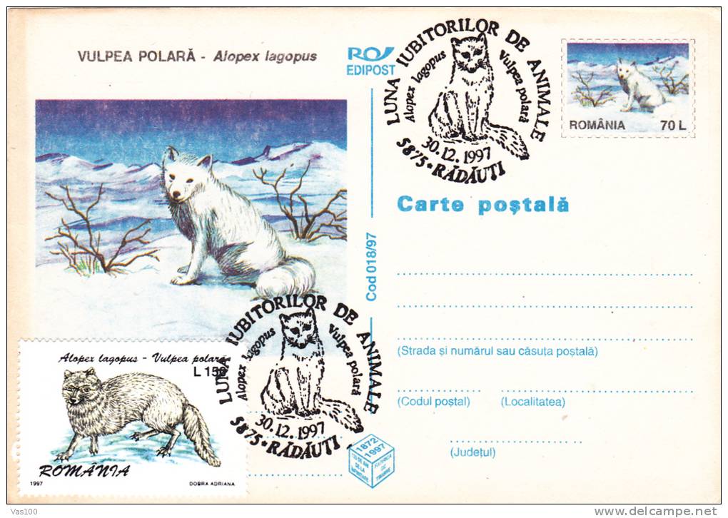 POLAR FOX, 1997, CARD STATIONERY, ENTIER POSTAL, OBLITERATION CONCORDANTE, ROMANIA - Rongeurs