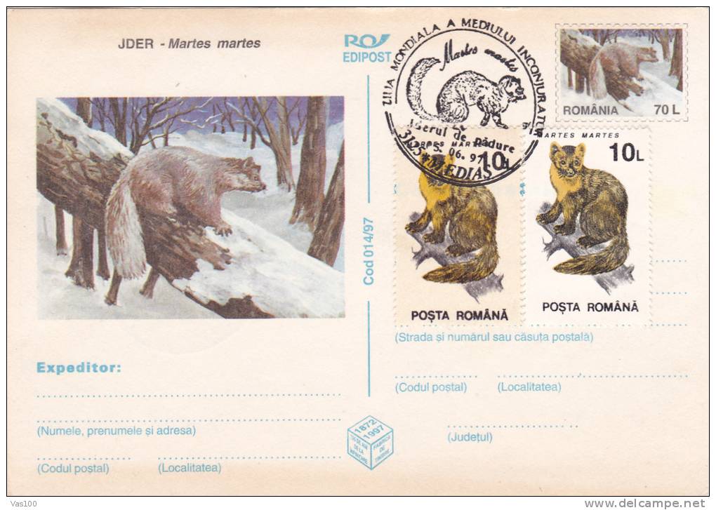 RONGEURS, 1997, CARD STATIONERY, ENTIER POSTAL, OBLITERATION CONCORDANTE, ROMANIA - Nager