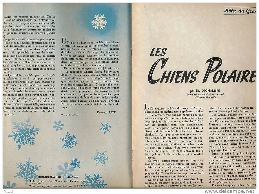 NATURALIA, n° 16 (1955) : Gui, Diamant, Chiens Polaires, Ruche, Abeilles, Langouste, Bucherons, Bonifacio, Attelage...