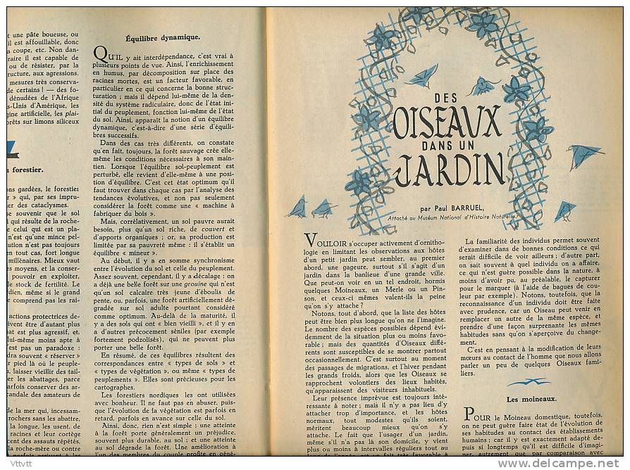 NATURALIA, N° 35 (1956) : Crustacés, Crabes, Pinsons, Rouge-Gorge, Merle, Batraciens, Grenouille, Crapaud, Champignons - Animaux